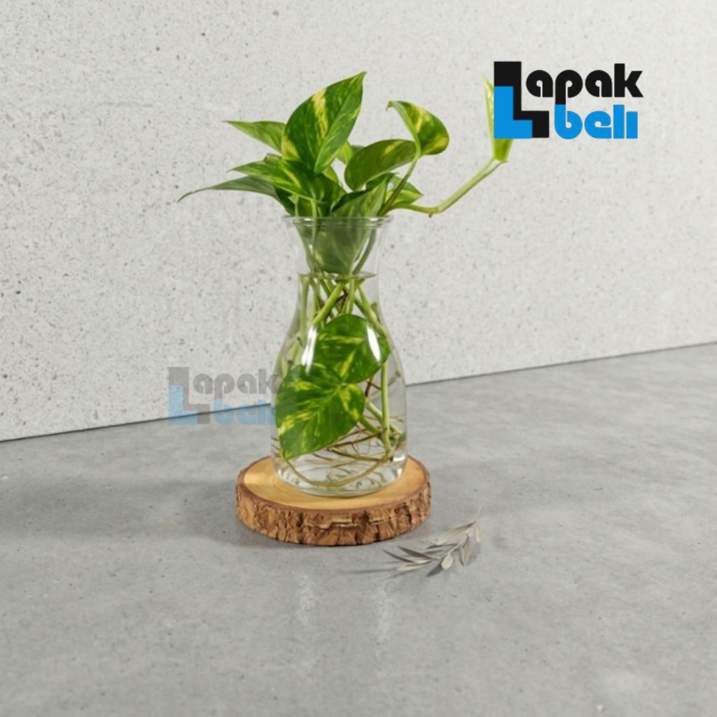 Vas Bunga Kaca / Vas Bunga Karaf / Vas Bunga Bening / Pot Tanaman Artifisial Hidroponik Estetik