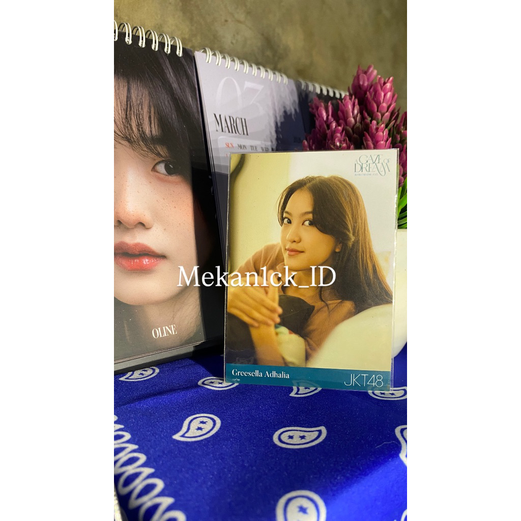 PHOTOPACK GREESEL A GAZE OF DREAM 2025 JKT48