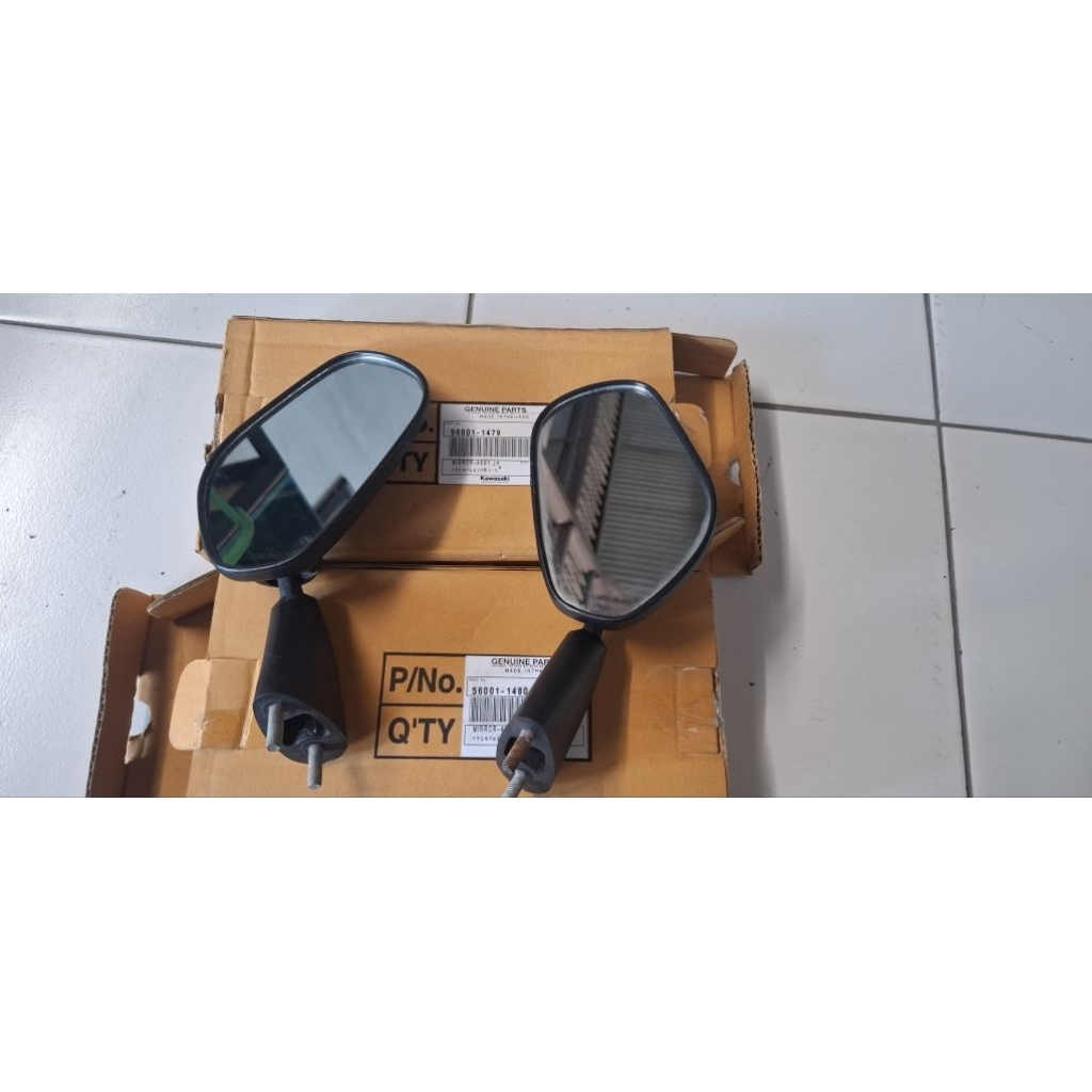 Spion Ninja RR