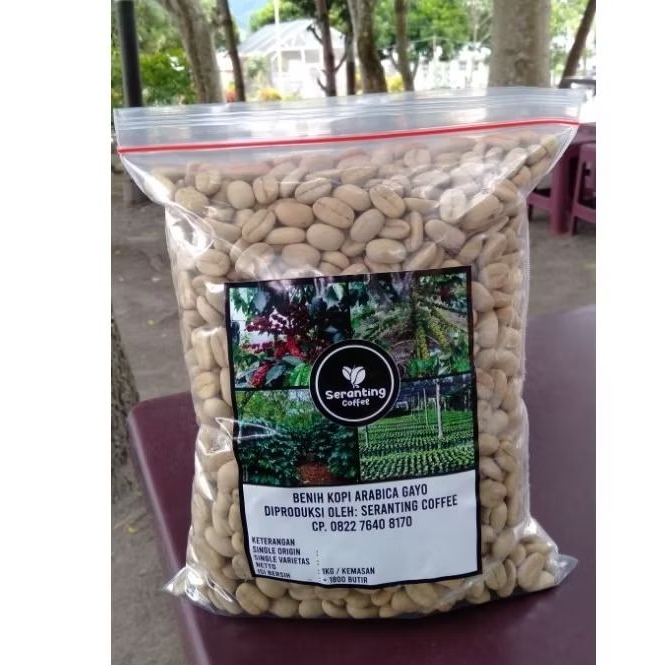 BIBIT / BENIH KOPI ARABIKA GAYO ( TIM-TIM ) 1 Kg COD