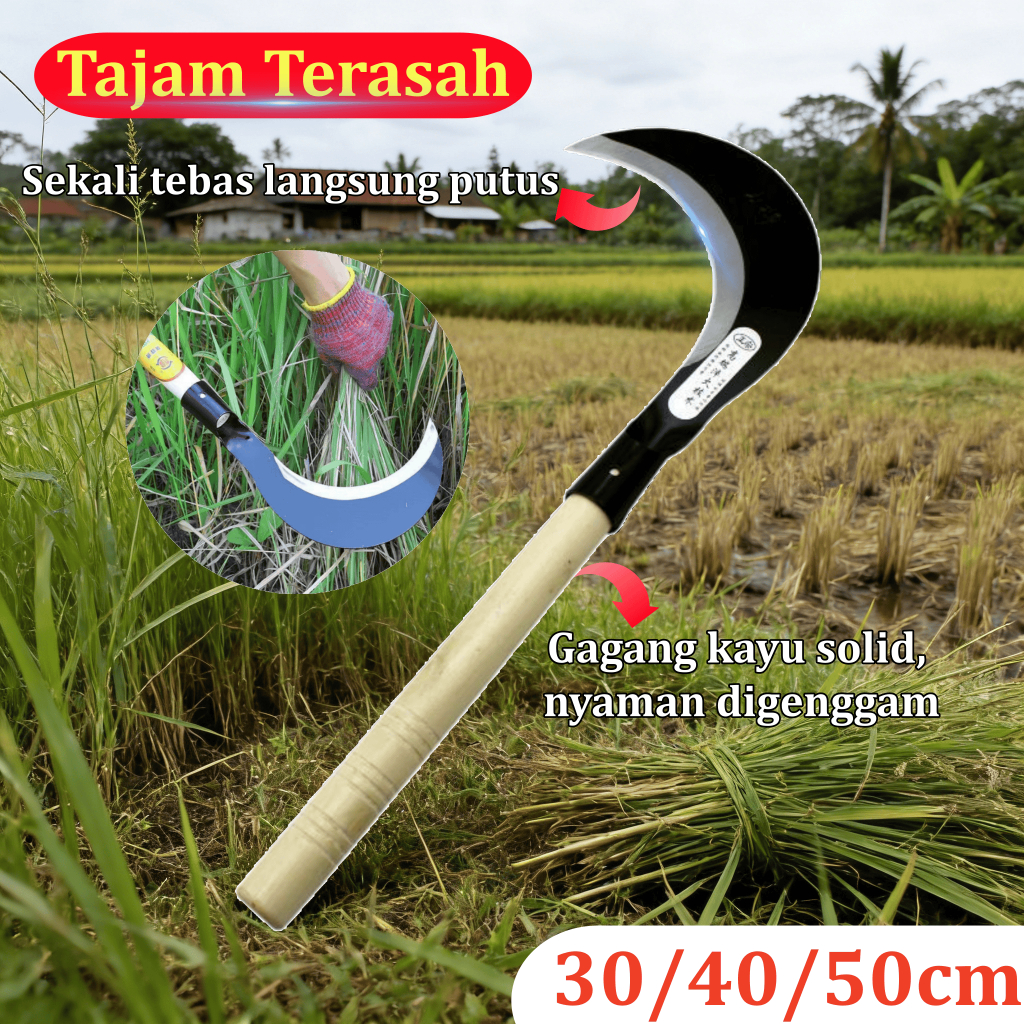 Sabit Pertanian Multifungsi Baja Tajam Tahan Lama Gagang Panjang untuk Potong Rumput dan Ranting Coc