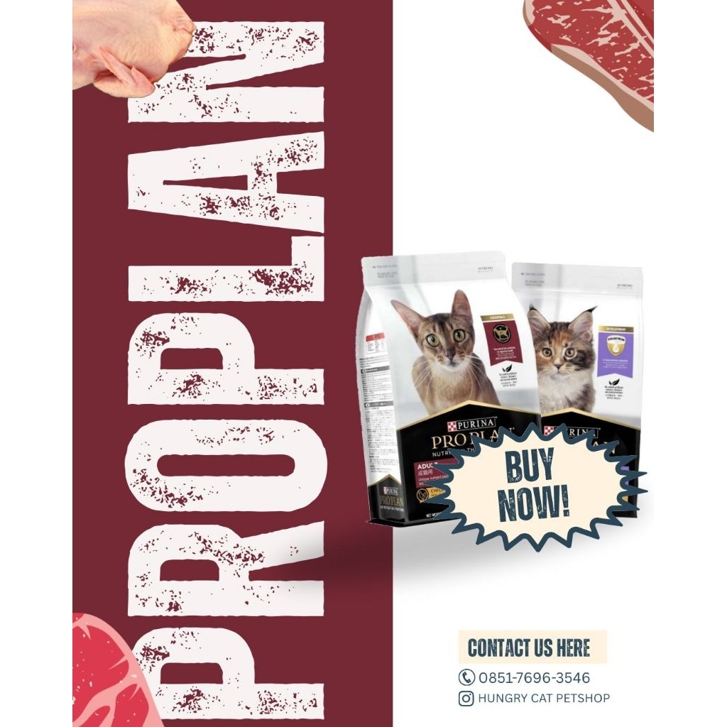 Pro Plan Kitten & Adult 1.5kg Original – Makanan Kucing Dry Food Premium Chicken Salmon Terbaik