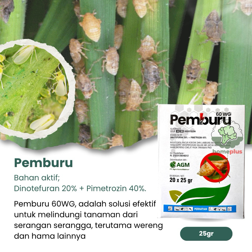 Pemburu Insektisida Efektif Mengendalikan Wereng, Serangga Dan Hama Tripsh