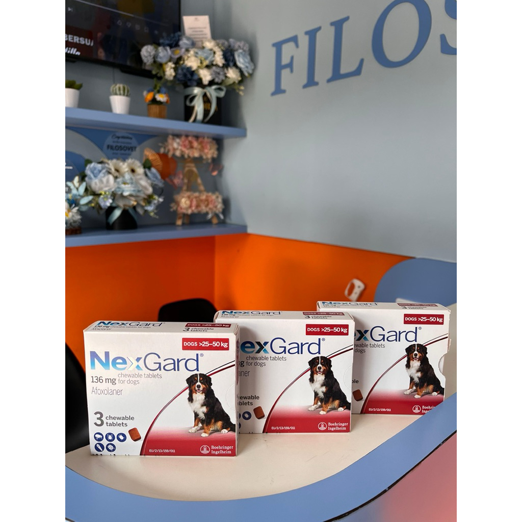 Nexgard Dog