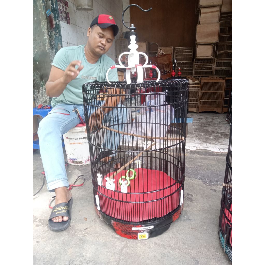 sangkar murai oriq no 3 cargo luar kota