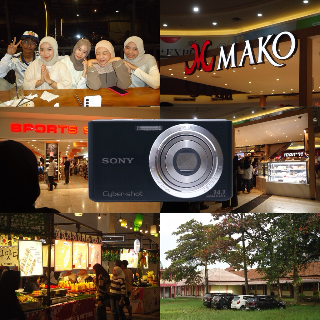 sony cybershot dsc-w610 digicam