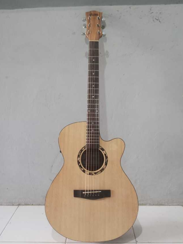 GITAR DLUXE DF100 ORI100%