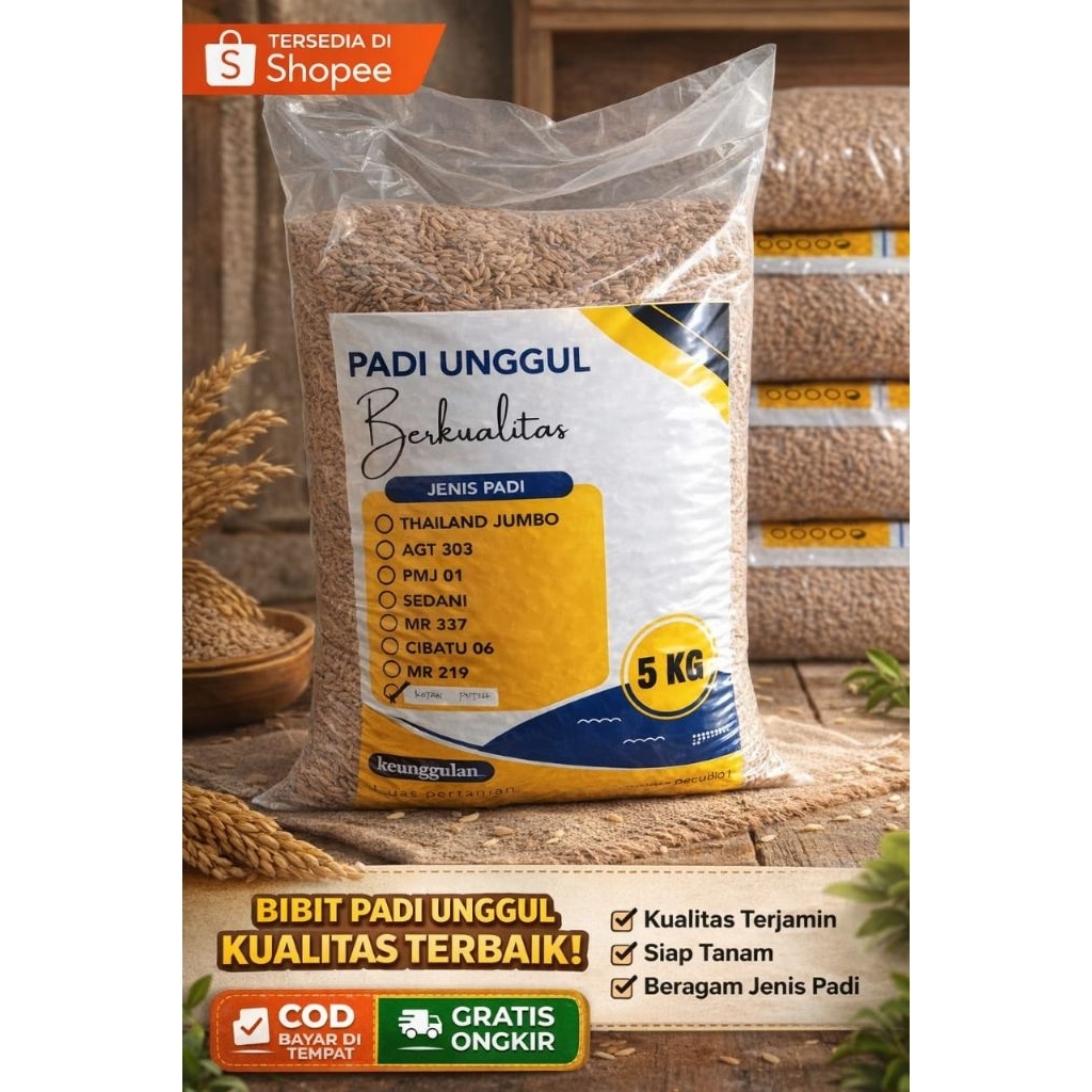 BENIH PADI PANDAN WANGI KEMASAN PREMIUM