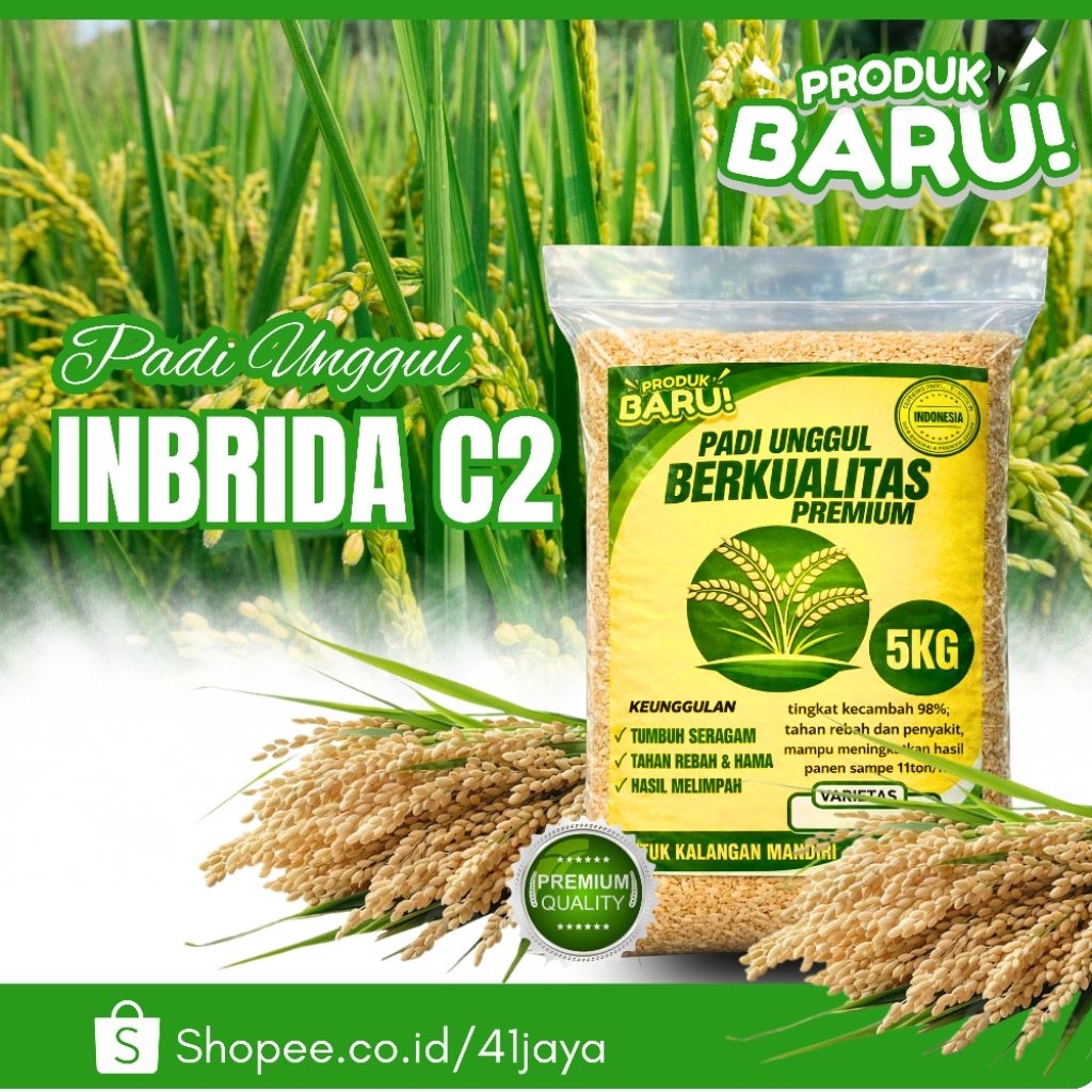 Benih padi unggul INBRIDA C2 original 5kg