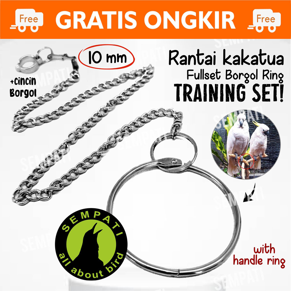 SEMPATI Rantai Burung Kakatua 10mm Fullset Borgol Ring Rantai Gelang Kaki Burung Beo Nuri Betet Rant