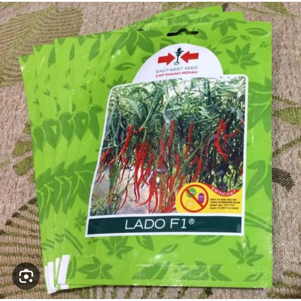 benih cabai keriting LADO F1 1750 butir