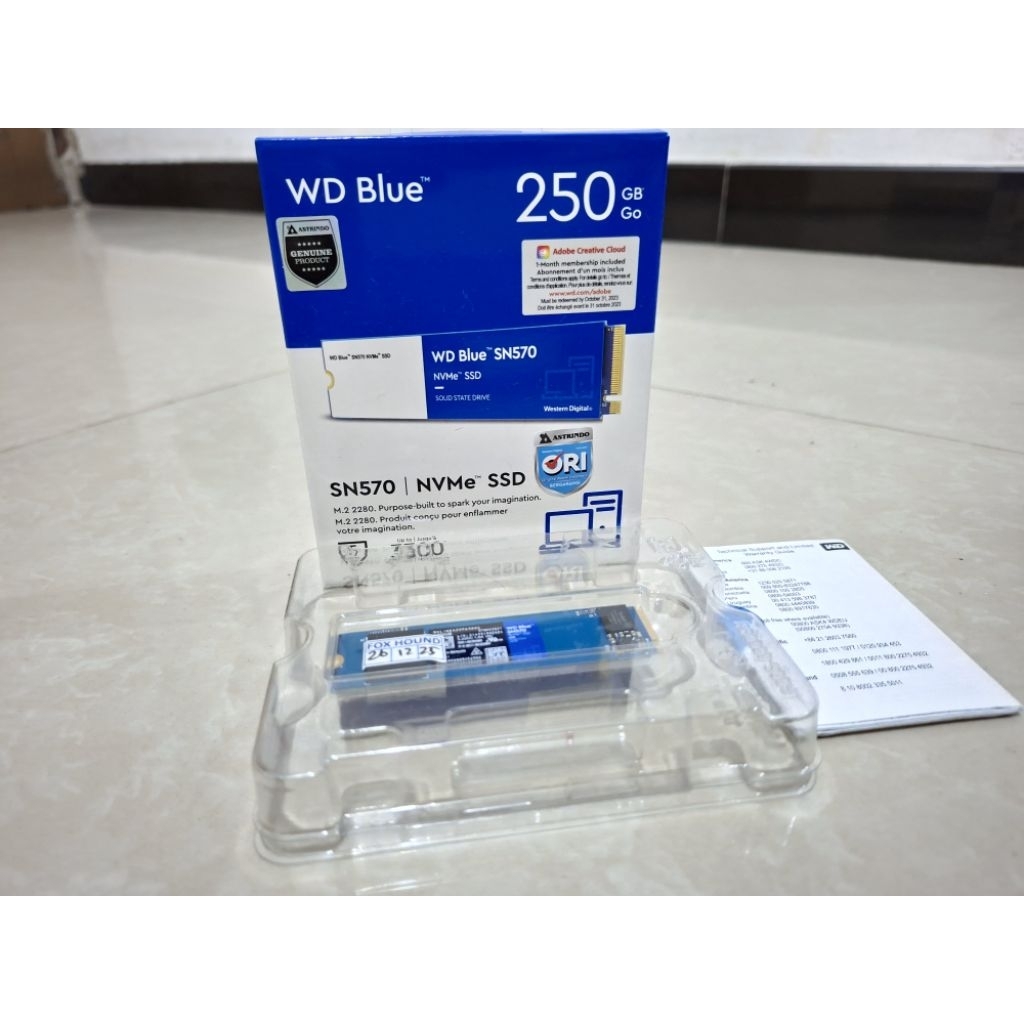 SSD NVME WD BLUE SN570 250GB