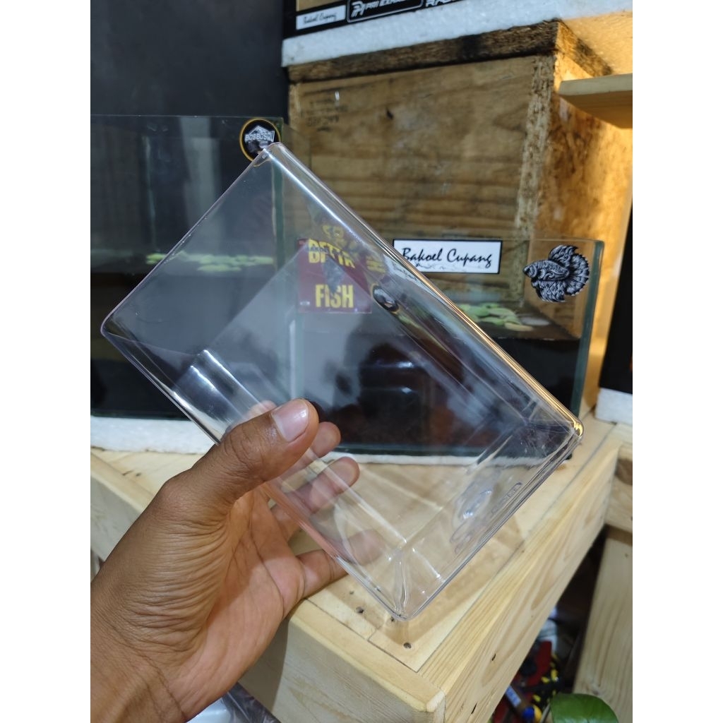 Aquarium Cupang Akrilik PAXTON 2 Liter - Ringan, Tidak Mudah Pecah, Ukuran 17x11x11 cm