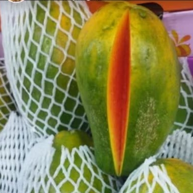 Pepaya Hawai / pepaya hawai manis / pepaya hawai arum 1pcs