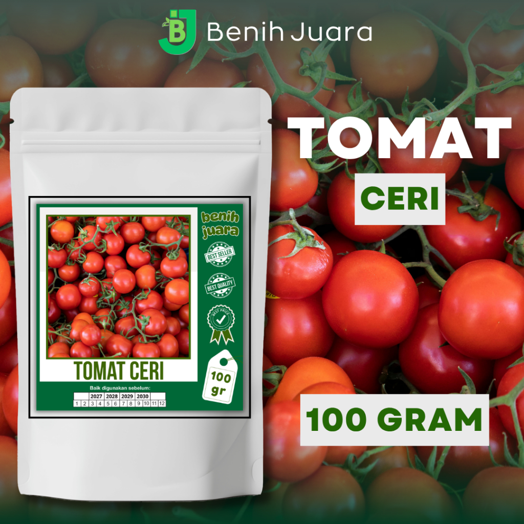 (100 GRAM) BIJI BENIH TOMAT CERI KEMASAN PREMIUM