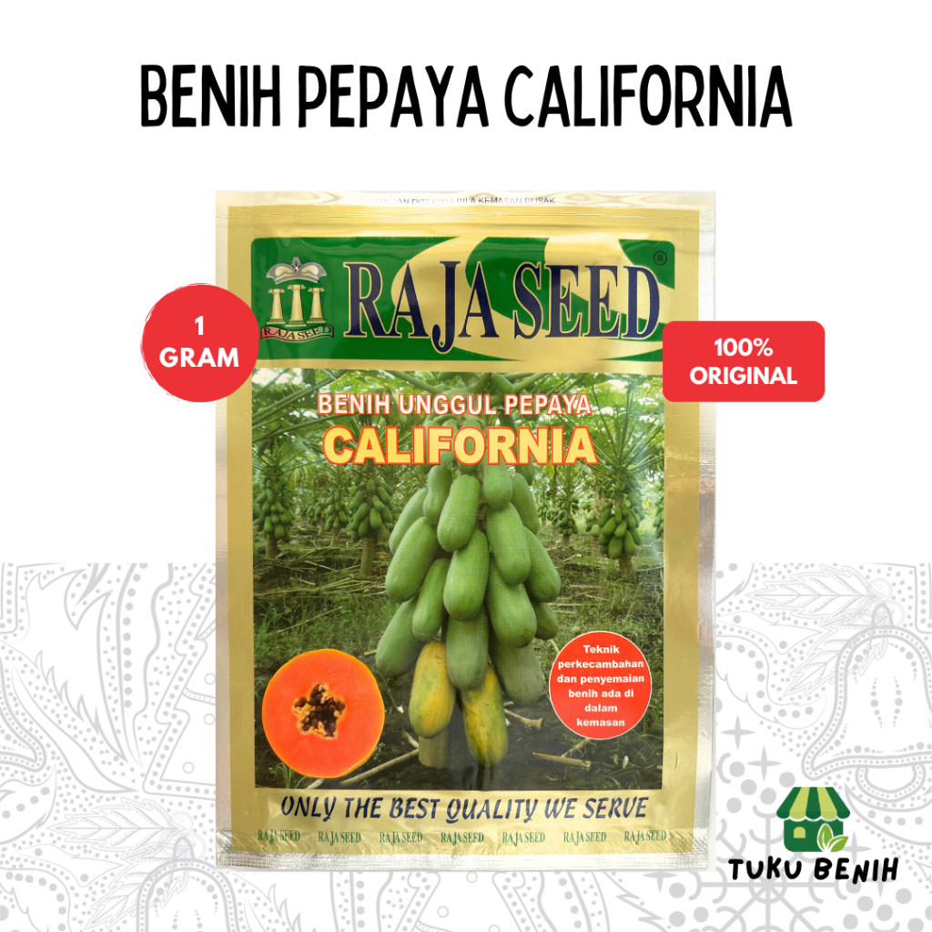 Benih Pepaya California 1 Gram - Raja Seed