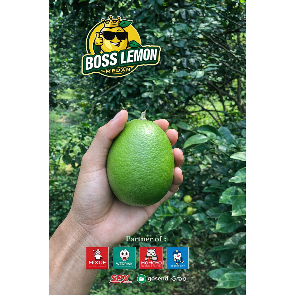 Lemon California Hijau Fresh