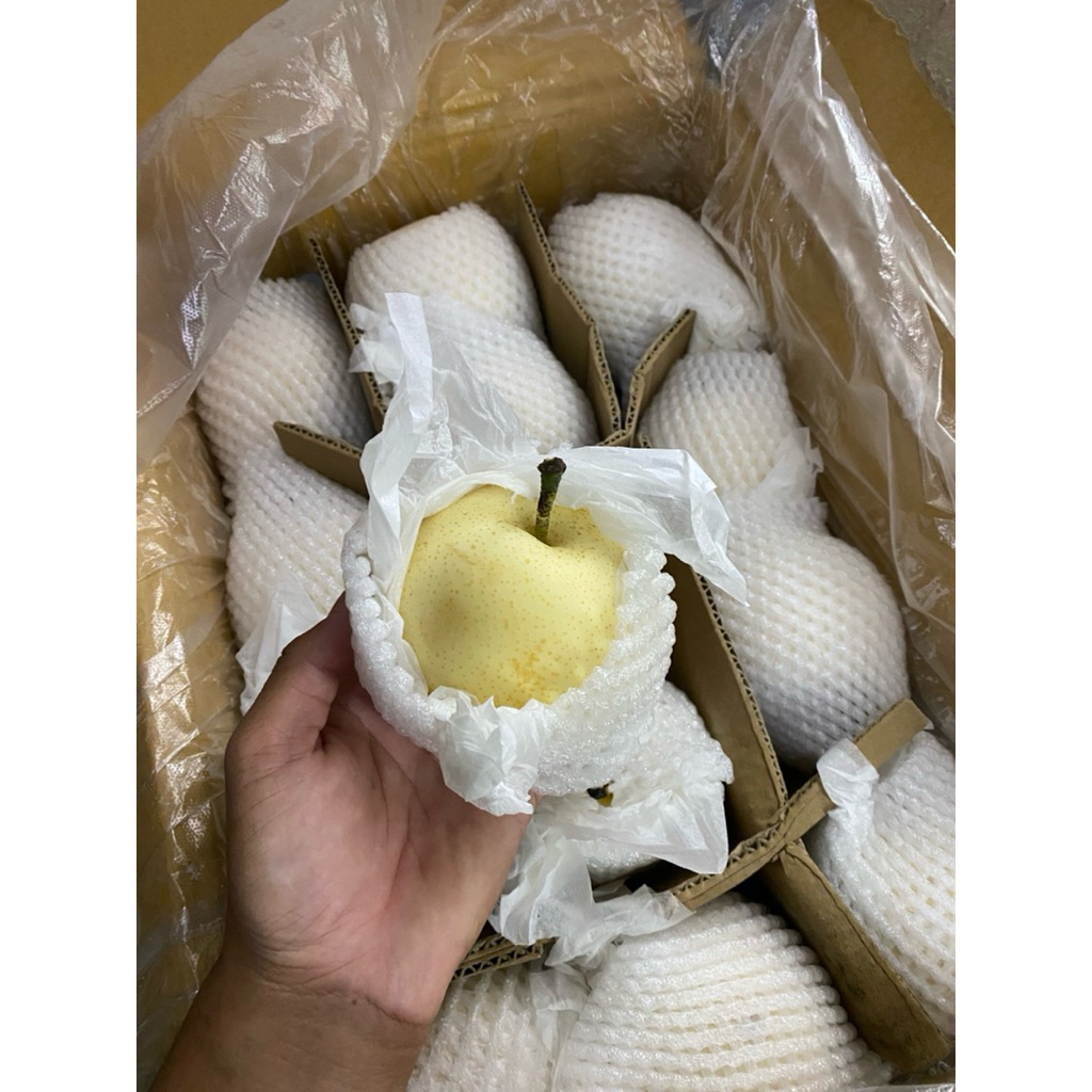 Buah pear century madu / buah pear sweet madu / pear madu