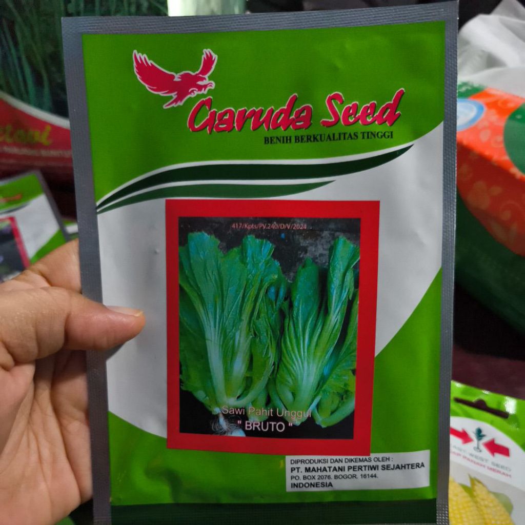 bibit sawi pahit unggul