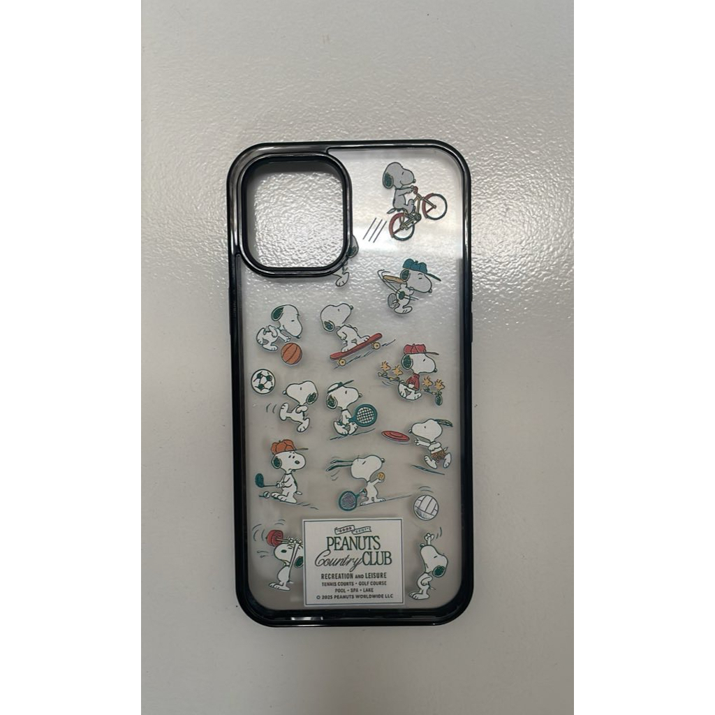 case 12 pro max