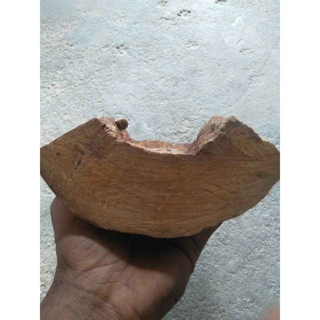 bahan once kayu wali raja 1kg