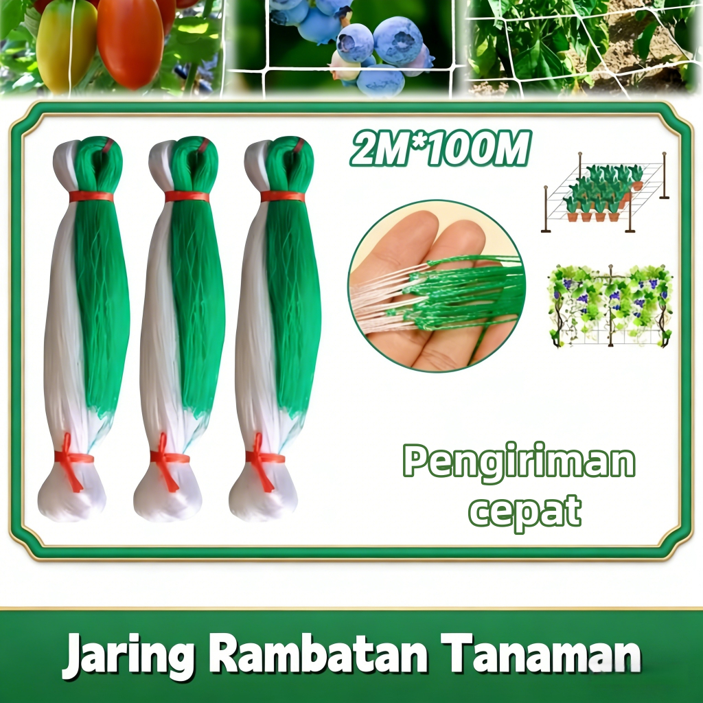 2M X 100M Jaring Rambatan Tanaman/Jaring Net Rambatan Tanaman Untuk Bertani Jaring Rambatan Tanaman 