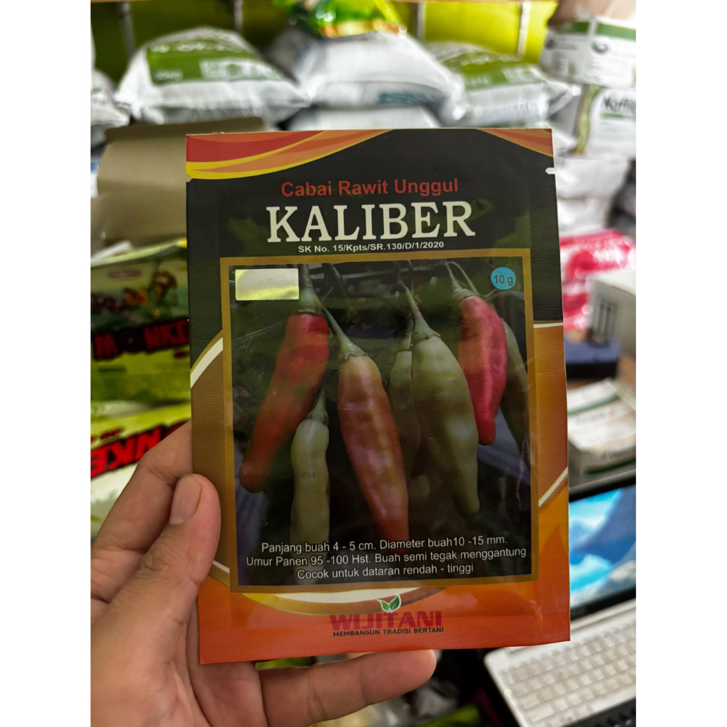 Benih Cabai Rawit Caplak Kaliber