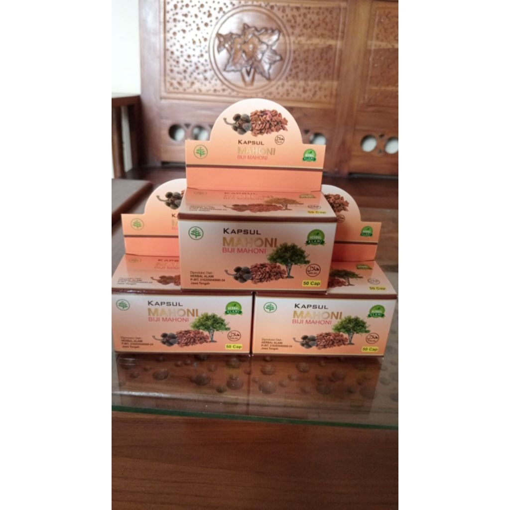 Kapsul Mahoni Biji Mahoni