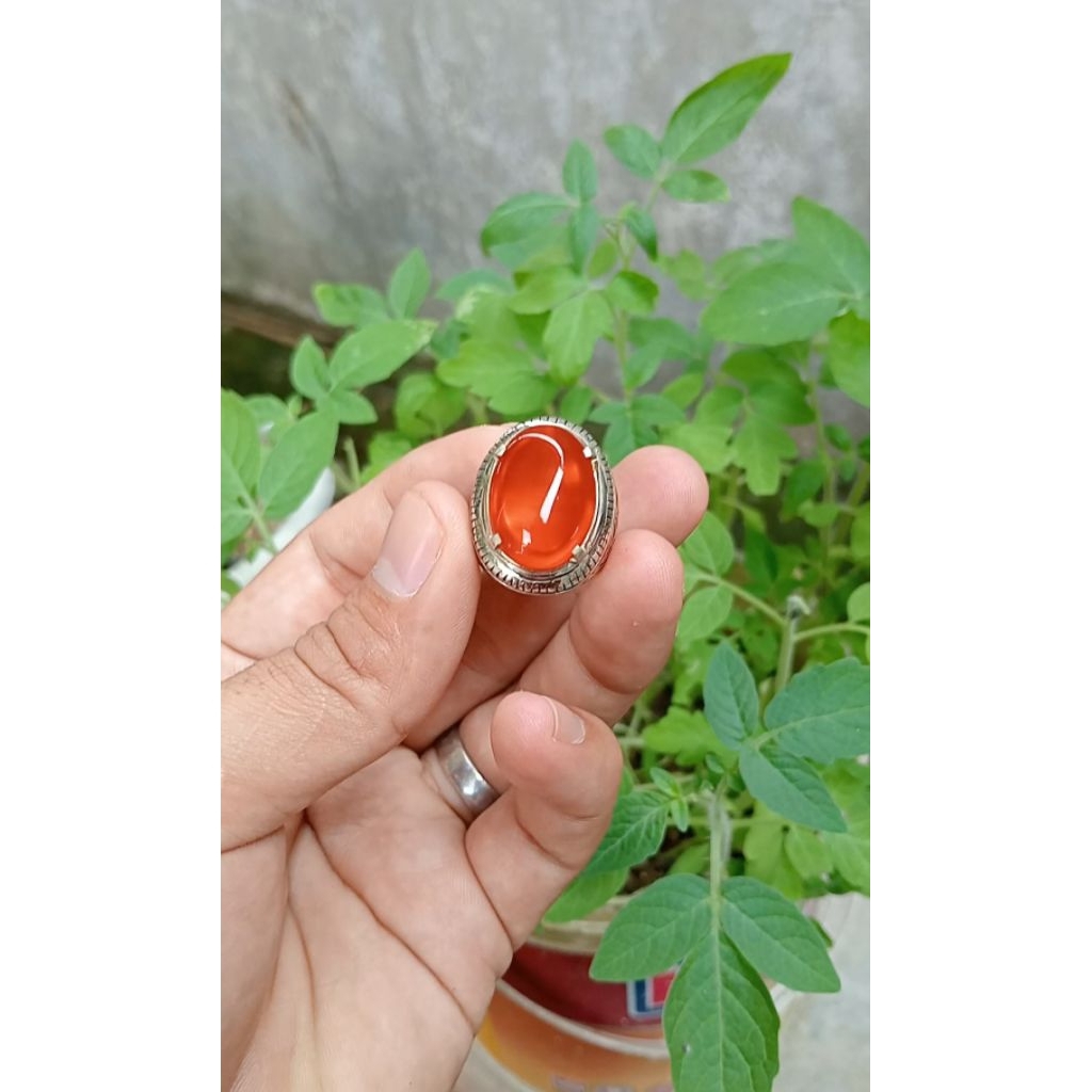 batu Akik cempaka aceh