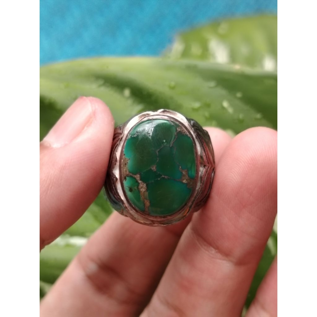 pirus hijau cincau persia, pirus hijau kelengan, pirus hijau buhun HQ, pirus abdurrozak