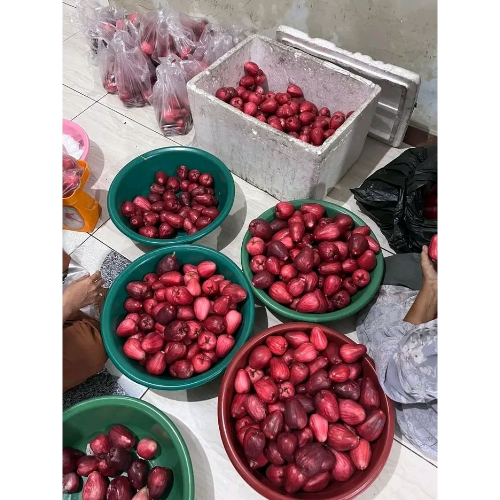 1Kg JAMBU AIR BOL/JAMAIKA manis fress
