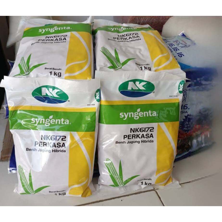 Benih JAGUNG HIBRIDA NK 6172 PERKASA 1KG #bibit jagung#jagung perkasa#bibit nk perkasa