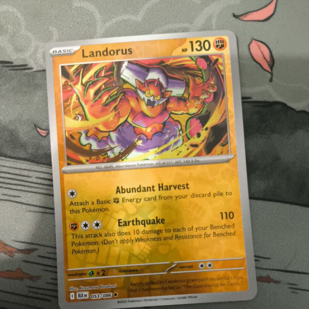 landorus 53/086 holo BBWF