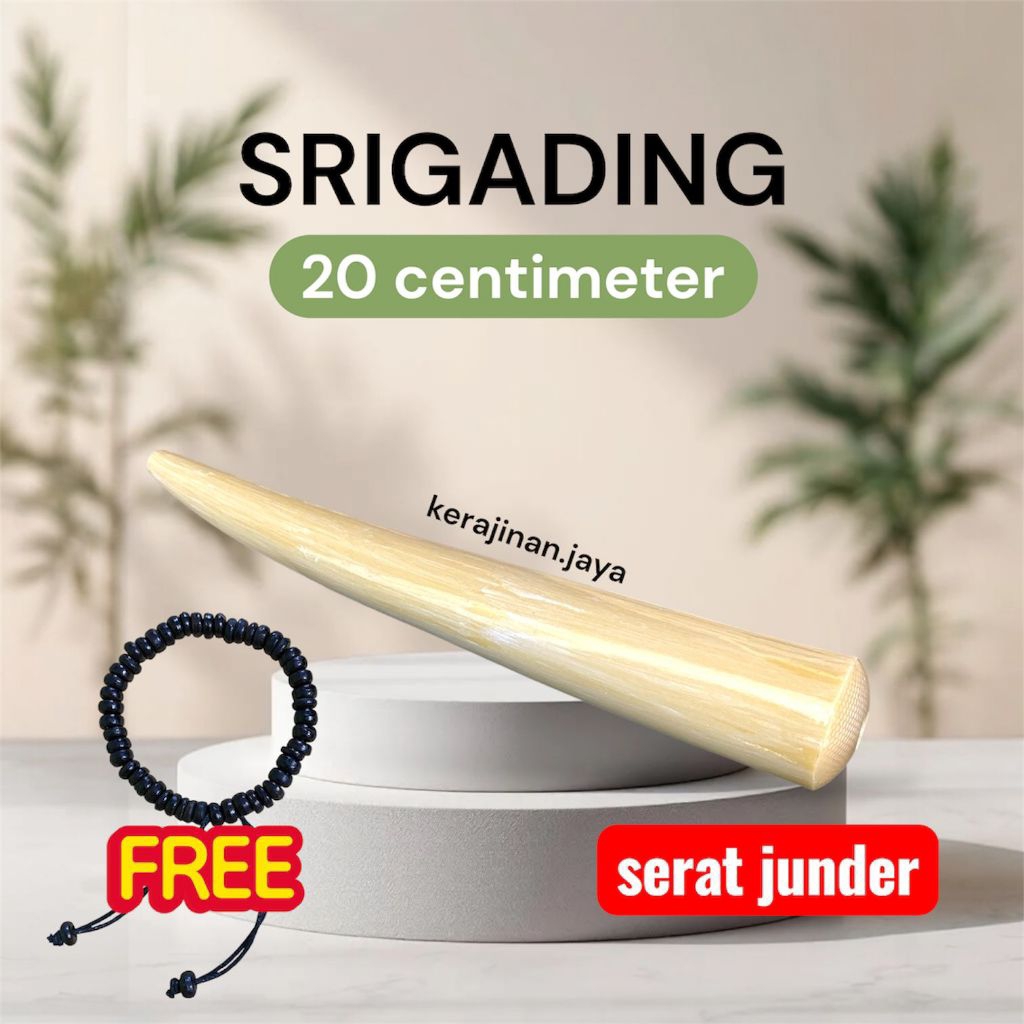 once pipa padudan cangklong srigading serbuk tulang jumbo dengan serat junder khas gg