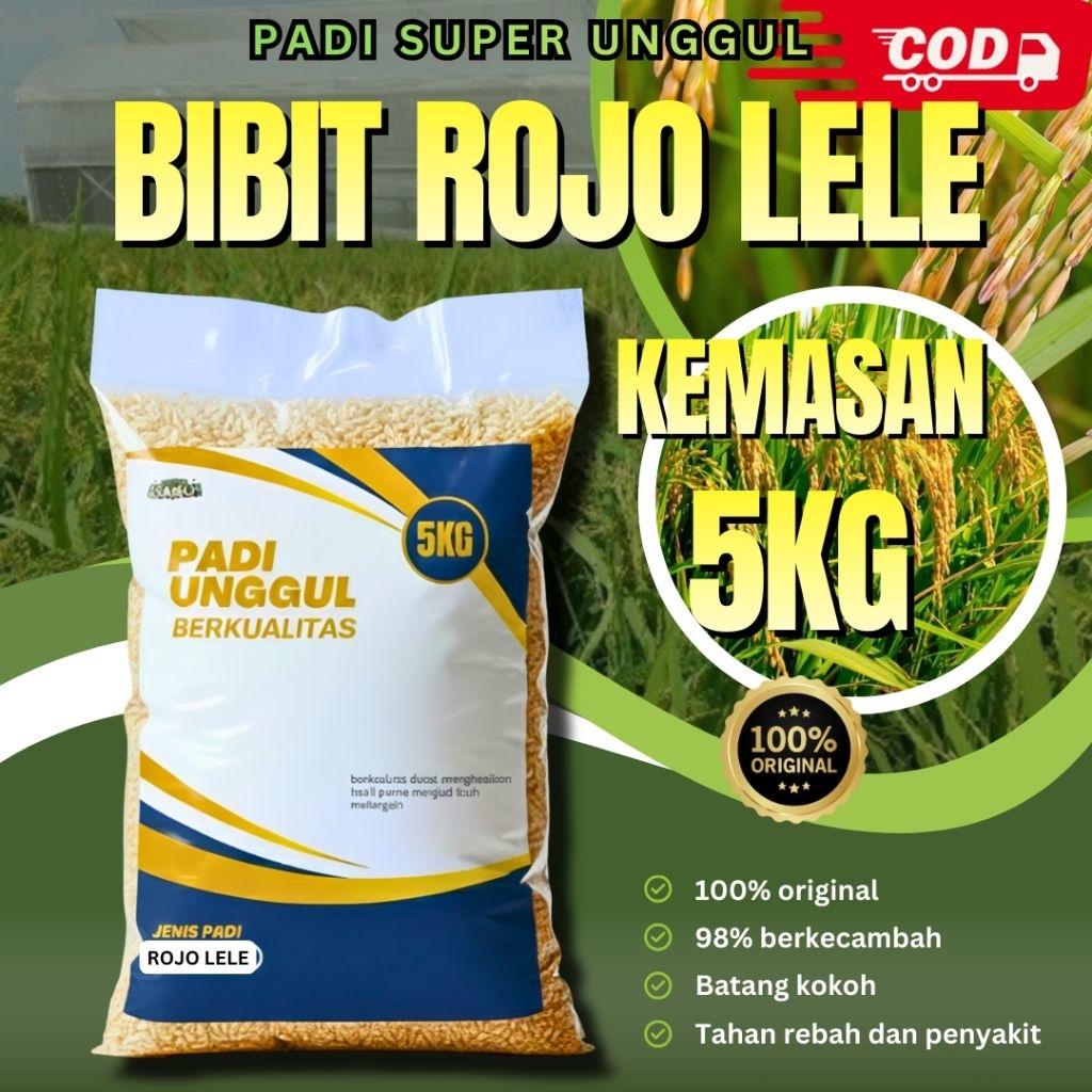 benih padi Rojo lele 5kg