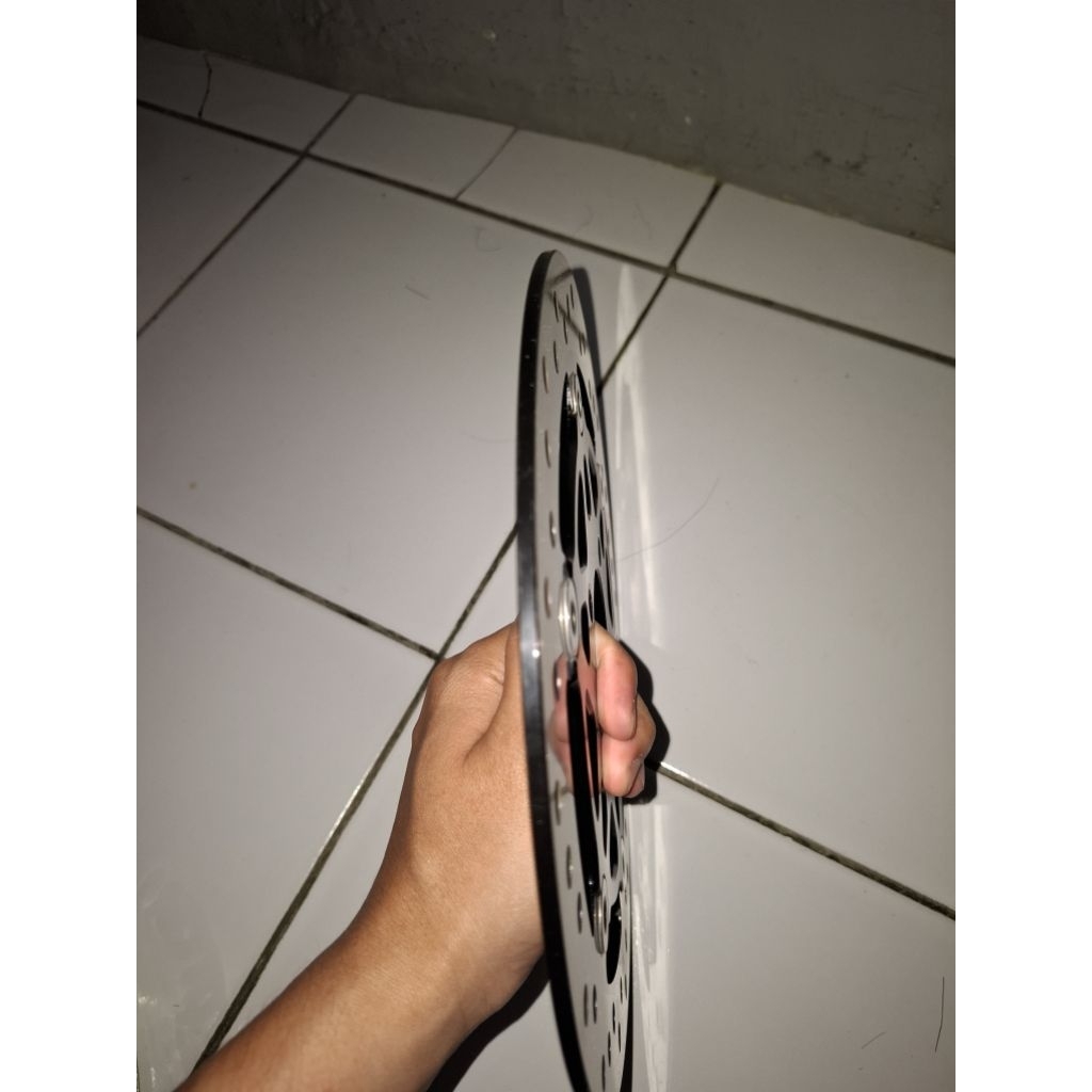 disc bpro 260mm vario