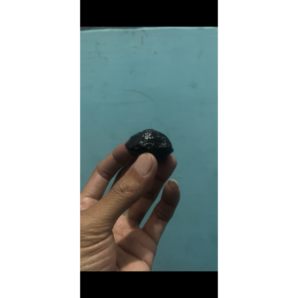 Muncang kojoan siap adu, Anak si pait