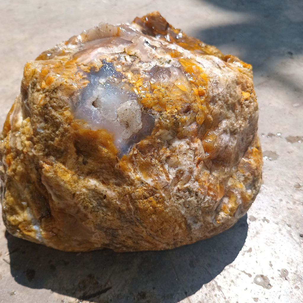 bahan akik fosil jumbo ngristal