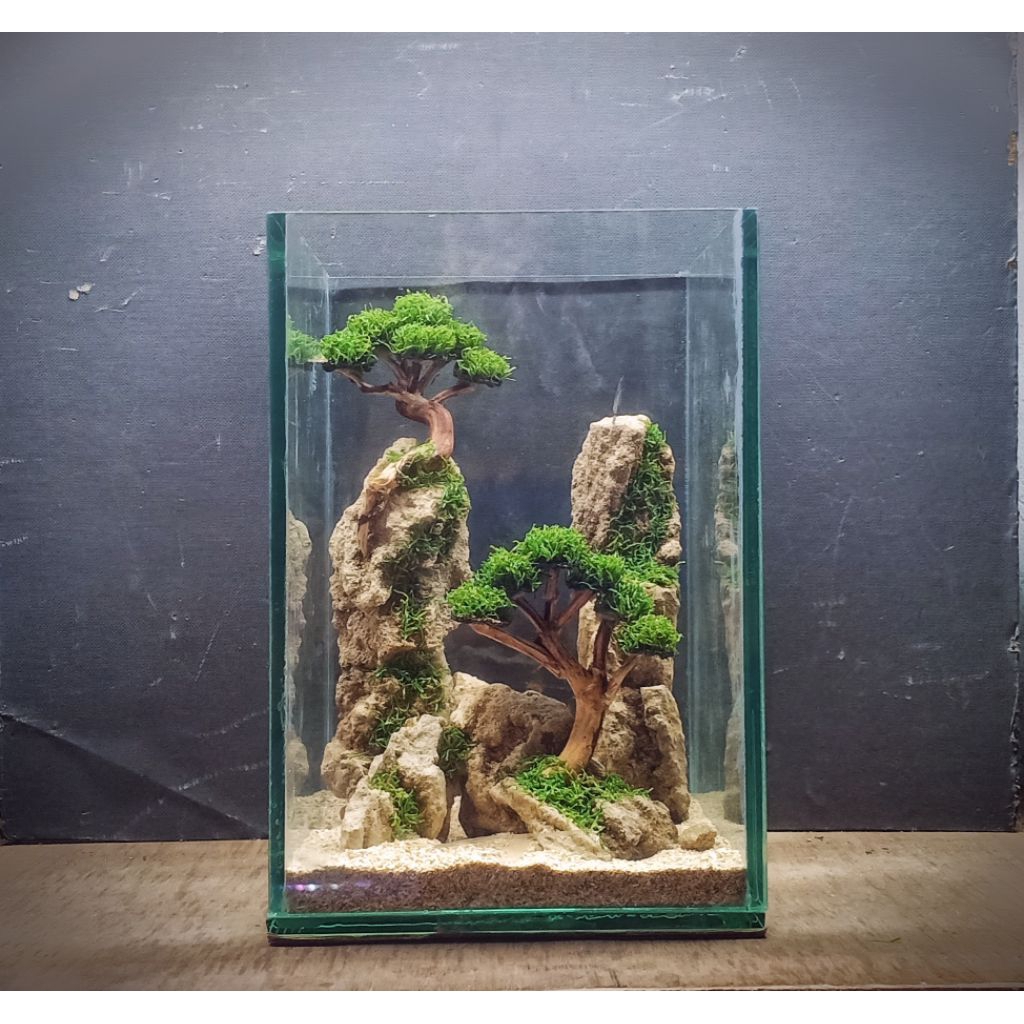Aquascape mini