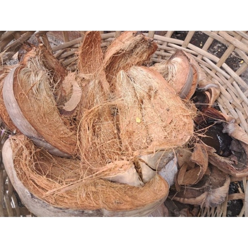 Sabut Kelapa kering