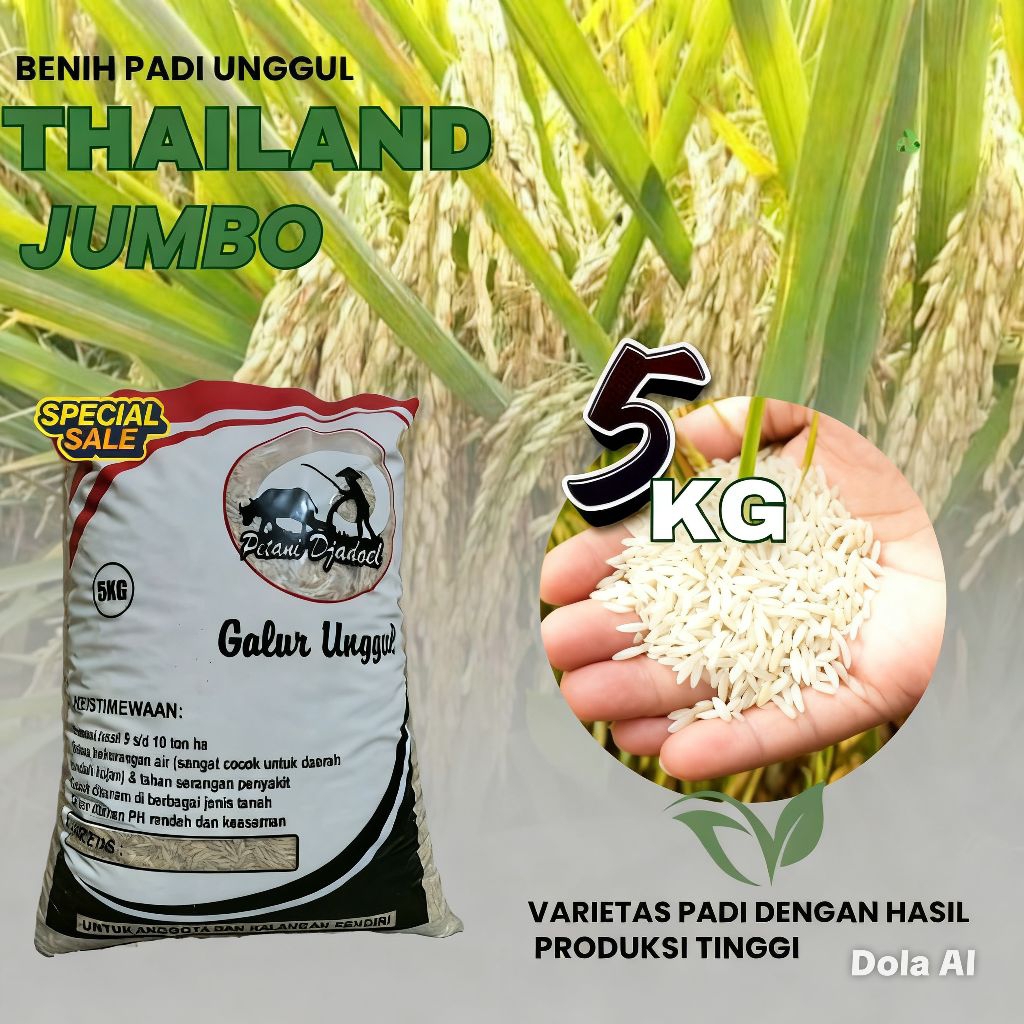 bibit.padi.unggulThailand, jumbo