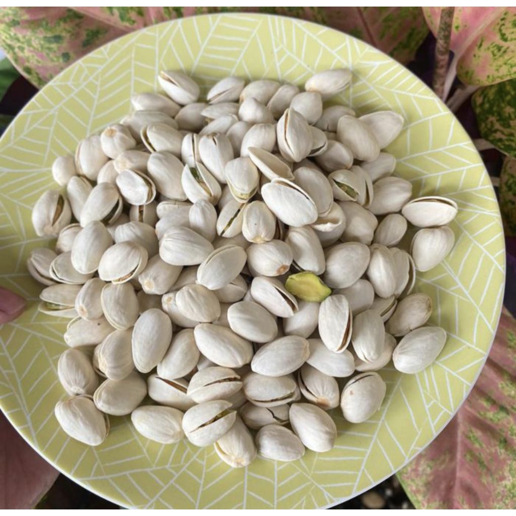 kacang pistachio/kacang fustuk/kacang arab