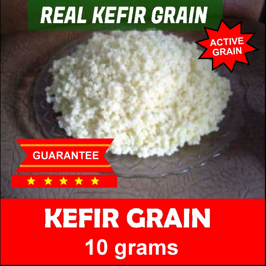 Kefir mushrooms - Milk Kefir Grain 10 grams