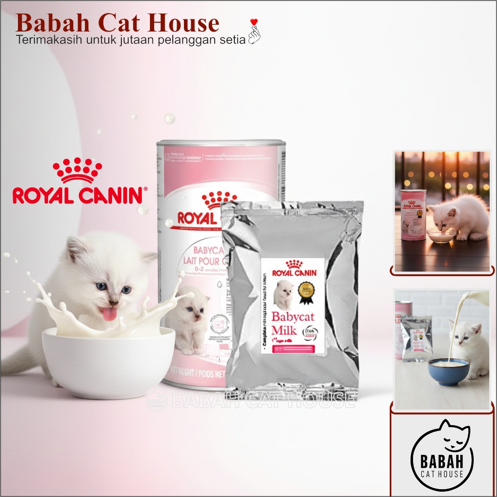 SUSU ROYAL CANIN BABY CAT MILK Untuk Anak Bayi Kucing Baru Lahir Rc Babycat Kitten Murah Royalcanin 