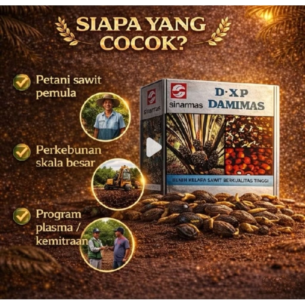 Bibit Sawit DAMIMAS  - Varietas PelepaH Pendek, 250 Butir