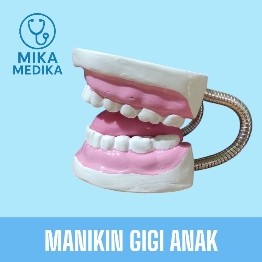 Phantom Manikin Gigi Anak / Phantom Manekin Gigi Anak / Alat Peraga Gigi Anak