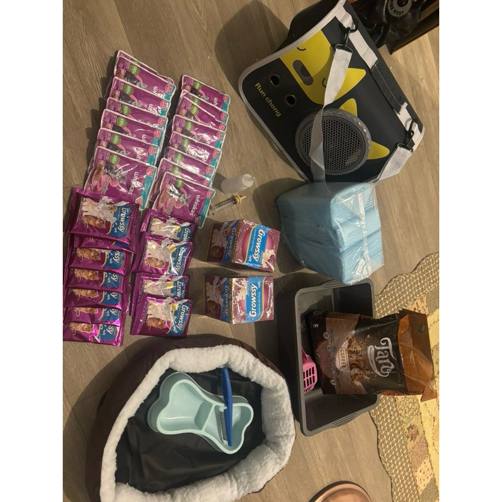 Preloved barang kucing