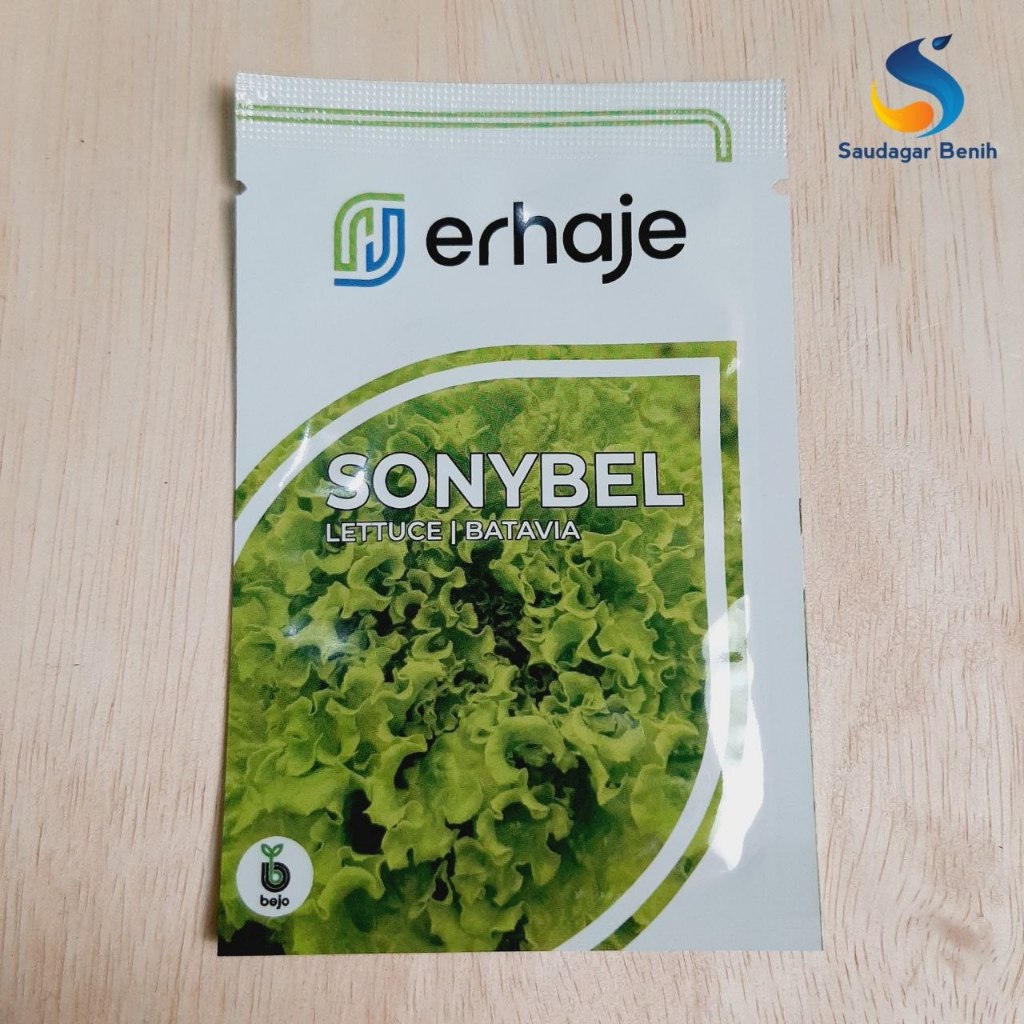 Benih SONYBEL 1gr - Sonybel bejo - Benih Selada bejo - Benih selada import Lettuce Batavia