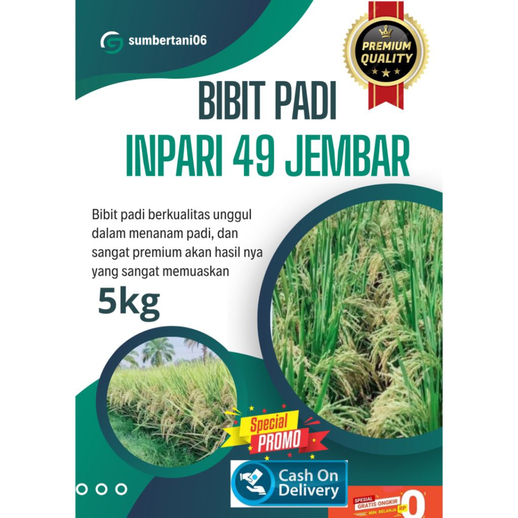 BIBIT PADI INPARI 49 JEMBAR KEMASAN 5KG BERKUALITAS UNGGUL DAN TERPERCAYA
