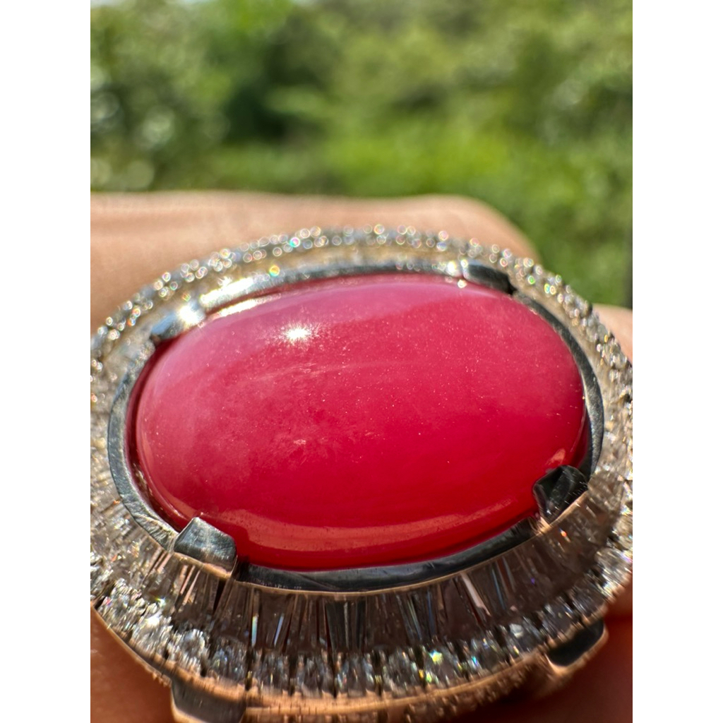 red borneo super HQ
